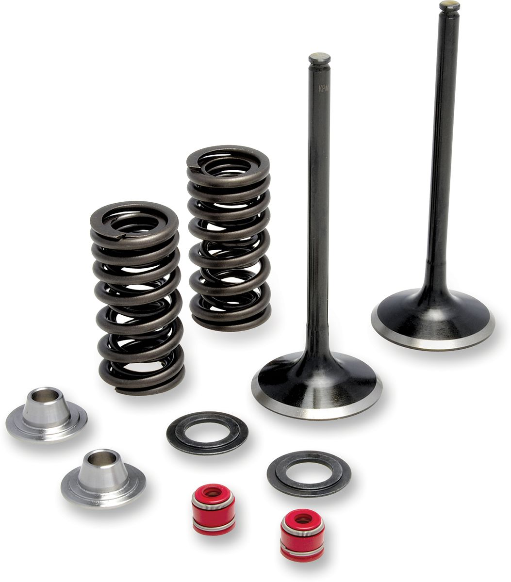 Stainless Exhaust Valve and Spring Kit